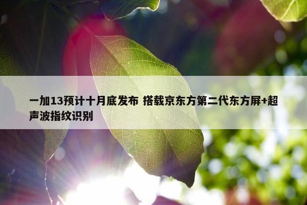 一加13预计十月底发布 搭载京东方第二代东方屏+超声波指纹识别