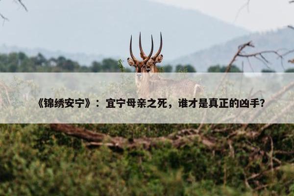 《锦绣安宁》：宜宁母亲之死，谁才是真正的凶手？