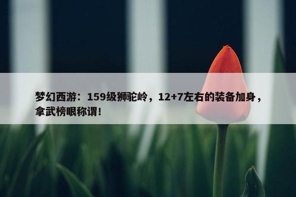 梦幻西游：159级狮驼岭，12+7左右的装备加身，拿武榜眼称谓！