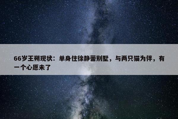 66岁王朔现状：单身住徐静蕾别墅，与两只猫为伴，有一个心愿未了