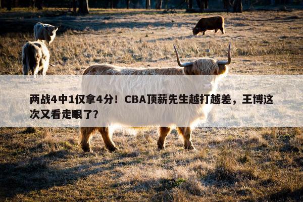 两战4中1仅拿4分！CBA顶薪先生越打越差，王博这次又看走眼了？