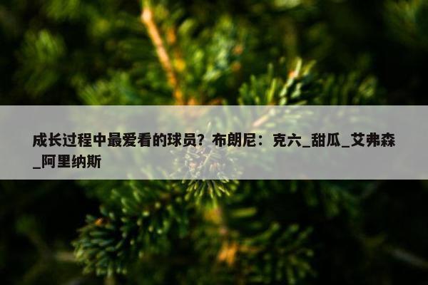 成长过程中最爱看的球员？布朗尼：克六_甜瓜_艾弗森_阿里纳斯