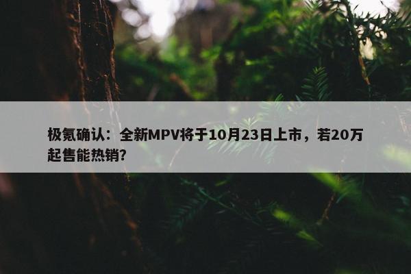 极氪确认：全新MPV将于10月23日上市，若20万起售能热销？