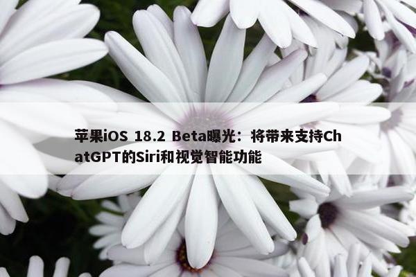 苹果iOS 18.2 Beta曝光：将带来支持ChatGPT的Siri和视觉智能功能