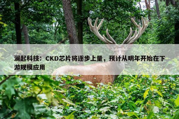 澜起科技：CKD芯片将逐步上量，预计从明年开始在下游规模应用