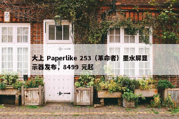 大上 Paperlike 253（革命者）墨水屏显示器发布，8499 元起