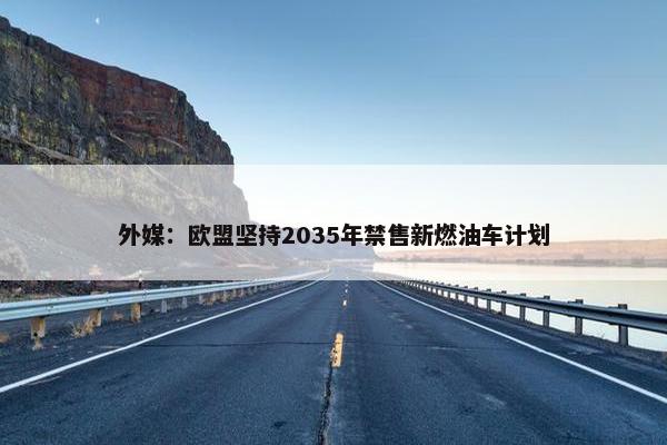 外媒：欧盟坚持2035年禁售新燃油车计划