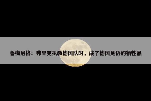 鲁梅尼格：弗里克执教德国队时，成了德国足协的牺牲品