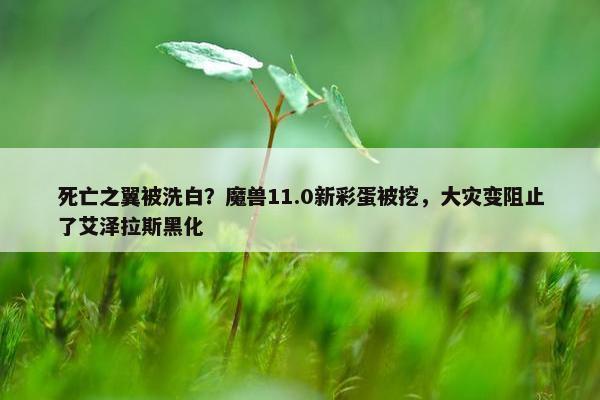 死亡之翼被洗白？魔兽11.0新彩蛋被挖，大灾变阻止了艾泽拉斯黑化