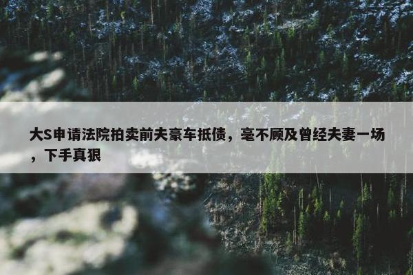 大S申请法院拍卖前夫豪车抵债，毫不顾及曾经夫妻一场，下手真狠