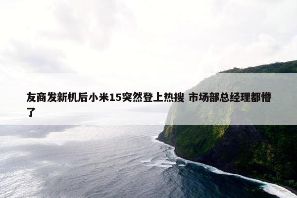 友商发新机后小米15突然登上热搜 市场部总经理都懵了