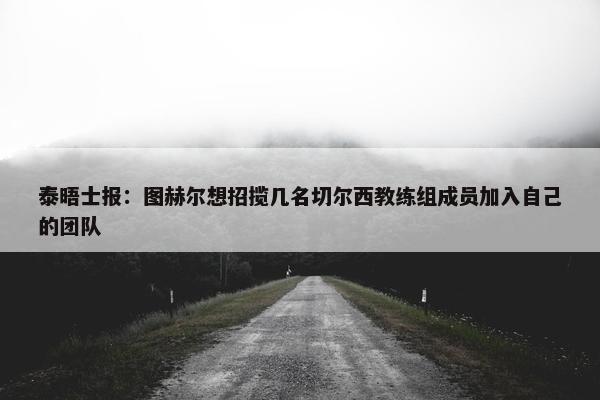 泰晤士报：图赫尔想招揽几名切尔西教练组成员加入自己的团队