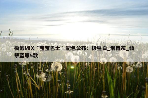 极氪MIX“宝宝巴士”配色公布：极昼白_烟雨灰_翡翠蓝等5款