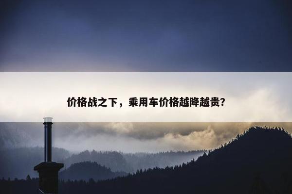 价格战之下，乘用车价格越降越贵？