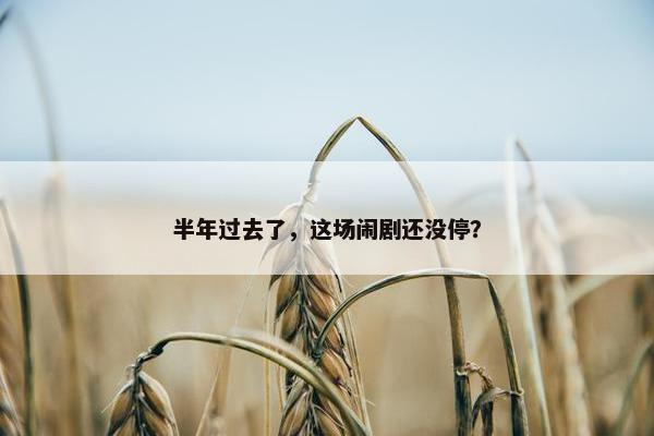 半年过去了，这场闹剧还没停？