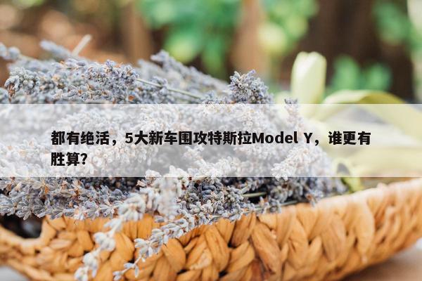 都有绝活，5大新车围攻特斯拉Model Y，谁更有胜算？