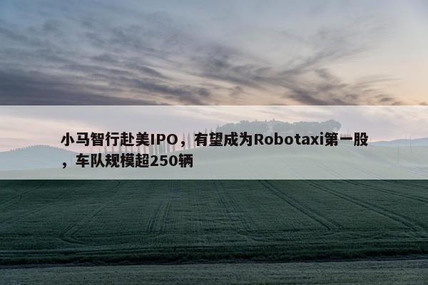 小马智行赴美IPO，有望成为Robotaxi第一股，车队规模超250辆