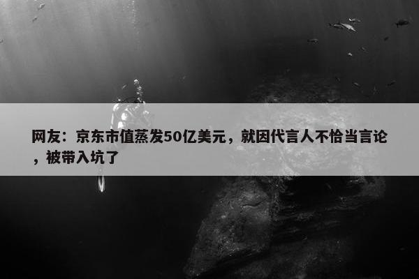 网友：京东市值蒸发50亿美元，就因代言人不恰当言论，被带入坑了