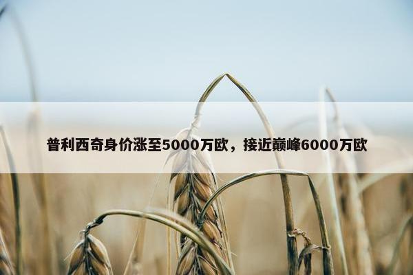 普利西奇身价涨至5000万欧，接近巅峰6000万欧