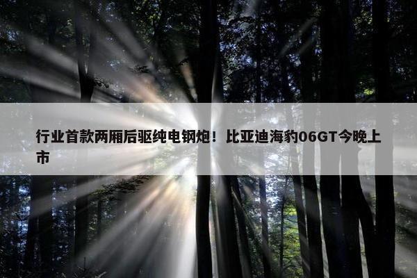 行业首款两厢后驱纯电钢炮！比亚迪海豹06GT今晚上市