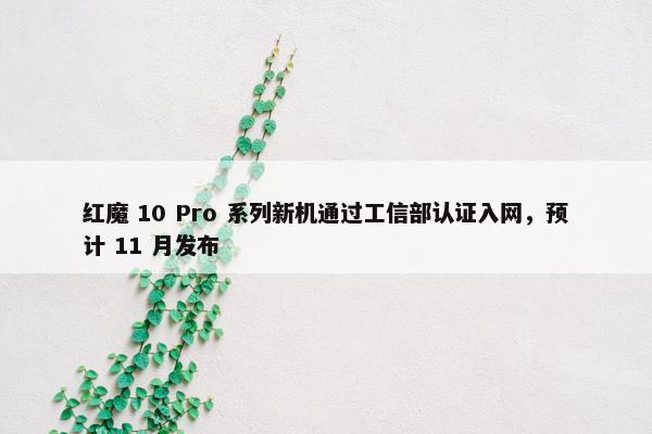 红魔 10 Pro 系列新机通过工信部认证入网，预计 11 月发布