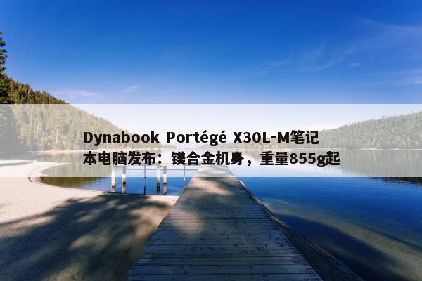 Dynabook Portégé X30L-M笔记本电脑发布：镁合金机身，重量855g起