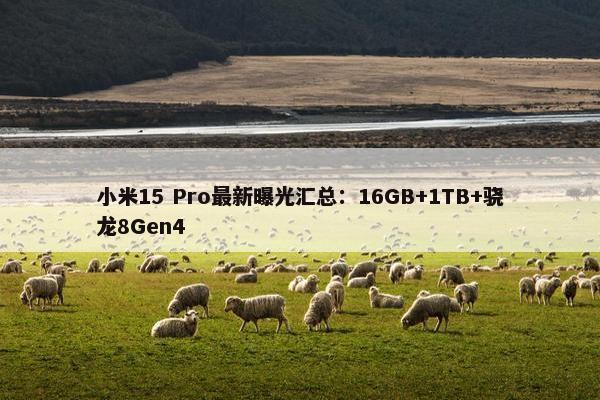 小米15 Pro最新曝光汇总：16GB+1TB+骁龙8Gen4