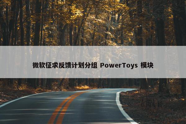 微软征求反馈计划分组 PowerToys 模块