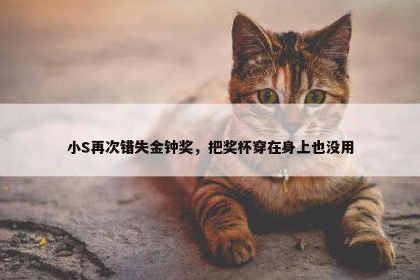 小S再次错失金钟奖，把奖杯穿在身上也没用