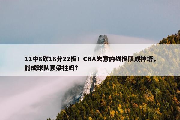 11中8砍18分22板！CBA失意内线换队成神塔，能成球队顶梁柱吗？