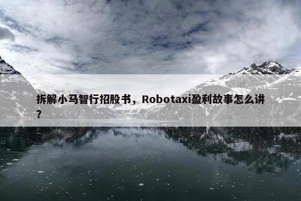 拆解小马智行招股书，Robotaxi盈利故事怎么讲？