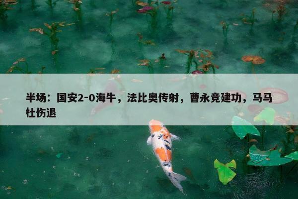 半场：国安2-0海牛，法比奥传射，曹永竞建功，马马杜伤退