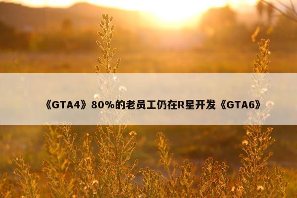 《GTA4》80%的老员工仍在R星开发《GTA6》