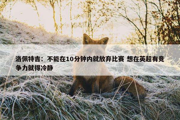 洛佩特吉：不能在10分钟内就放弃比赛 想在英超有竞争力就得冷静