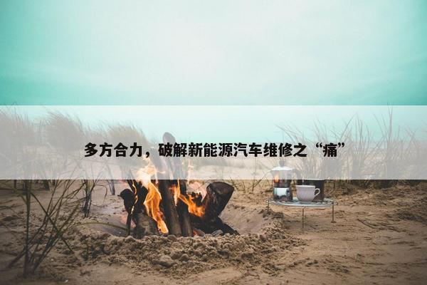 多方合力，破解新能源汽车维修之“痛”