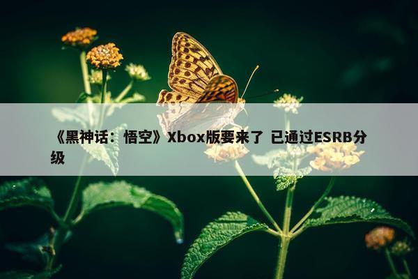 《黑神话：悟空》Xbox版要来了 已通过ESRB分级