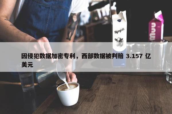 因侵犯数据加密专利，西部数据被判赔 3.157 亿美元