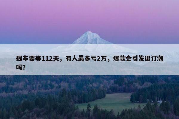 提车要等112天，有人最多亏2万，爆款会引发退订潮吗？