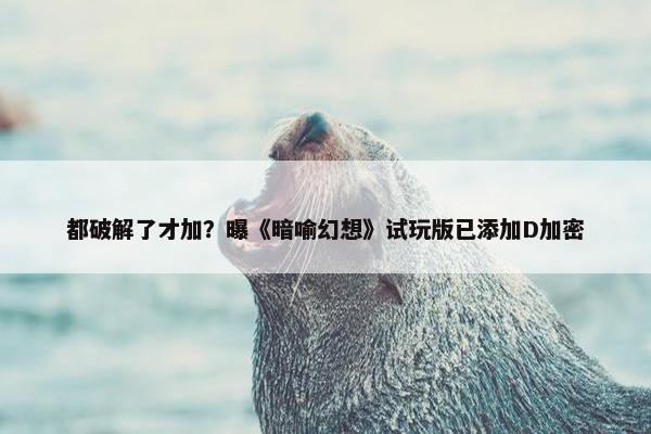 都破解了才加？曝《暗喻幻想》试玩版已添加D加密