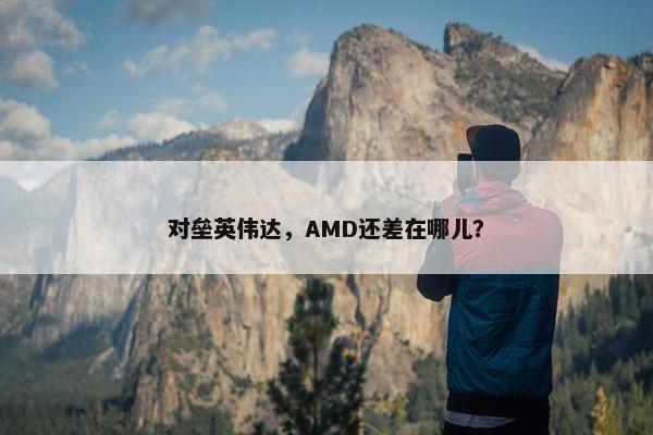 对垒英伟达，AMD还差在哪儿？