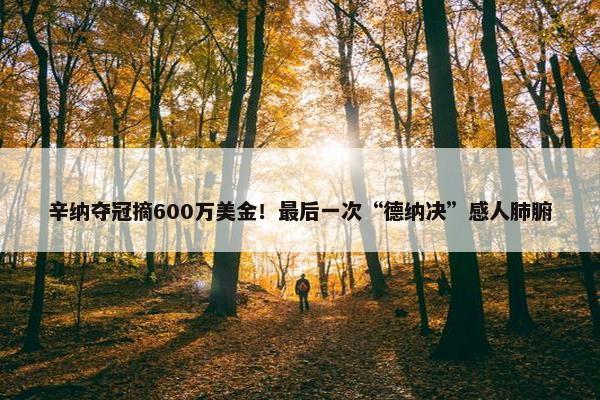 辛纳夺冠摘600万美金！最后一次“德纳决”感人肺腑