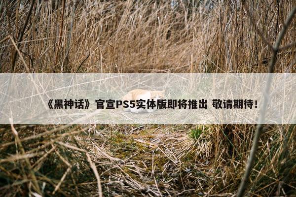 《黑神话》官宣PS5实体版即将推出 敬请期待！