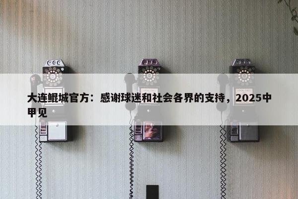 大连鲲城官方：感谢球迷和社会各界的支持，2025中甲见