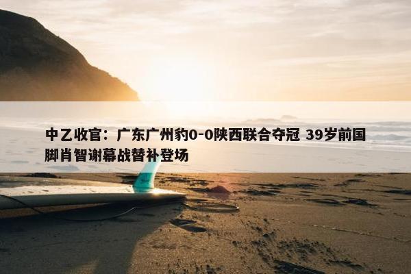 中乙收官：广东广州豹0-0陕西联合夺冠 39岁前国脚肖智谢幕战替补登场