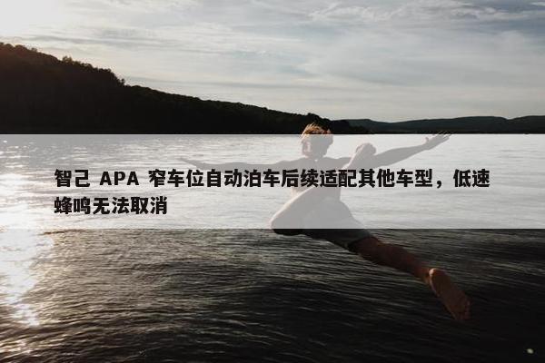 智己 APA 窄车位自动泊车后续适配其他车型，低速蜂鸣无法取消