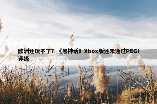 欧洲还玩不了？《黑神话》Xbox版还未通过PEGI评级