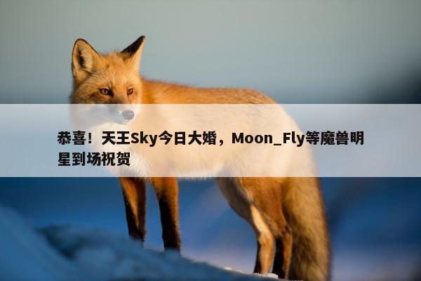 恭喜！天王Sky今日大婚，Moon_Fly等魔兽明星到场祝贺