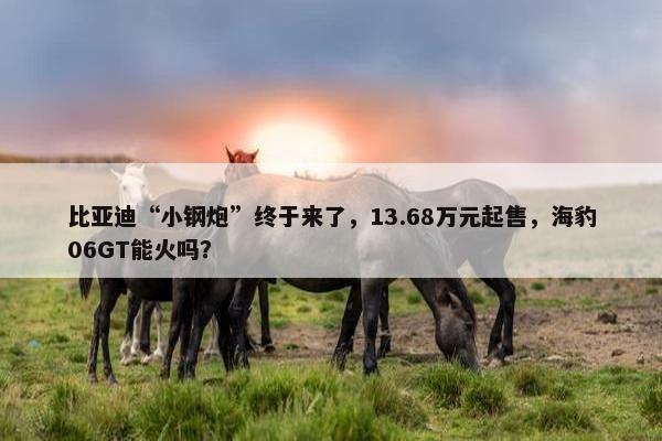 比亚迪“小钢炮”终于来了，13.68万元起售，海豹06GT能火吗？