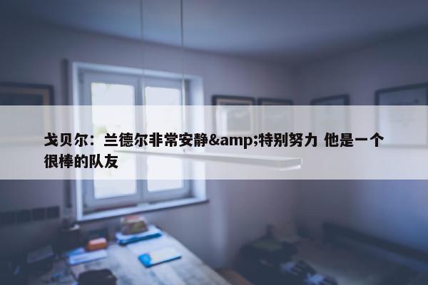 戈贝尔：兰德尔非常安静&特别努力 他是一个很棒的队友