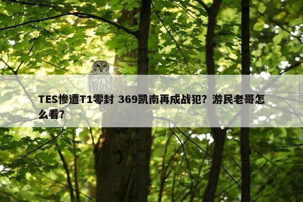 TES惨遭T1零封 369凯南再成战犯？游民老哥怎么看？